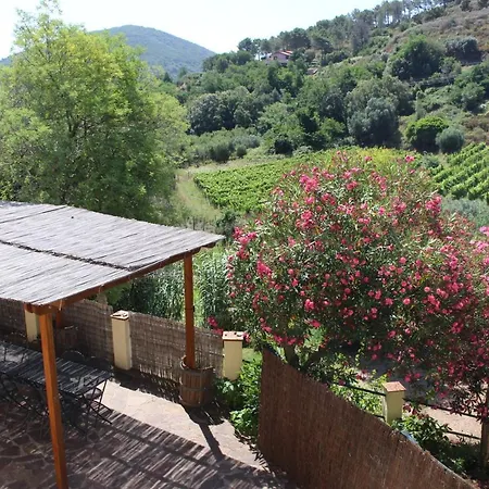 La Lecciola Farm stay *