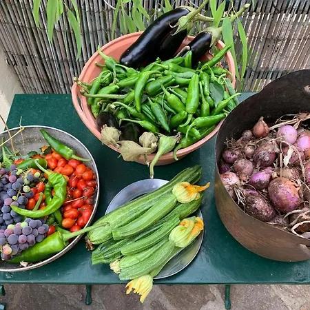 Farm stay La Lecciola