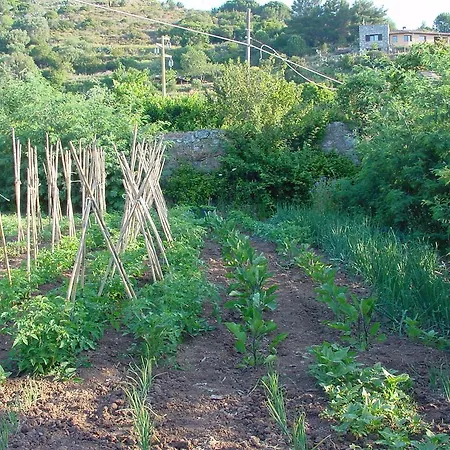 La Lecciola *