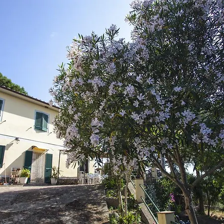 La Lecciola Rio nell'Elba